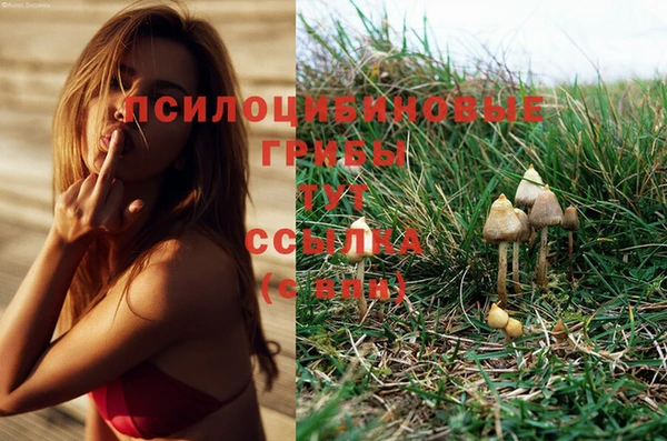 альфа пвп Богданович