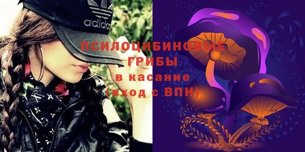 стафф Богородицк