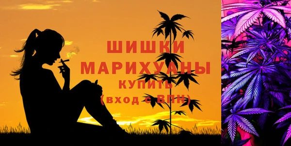 стафф Богородицк