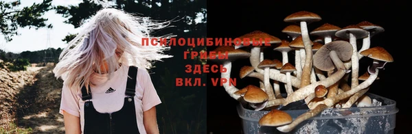 альфа пвп Богданович