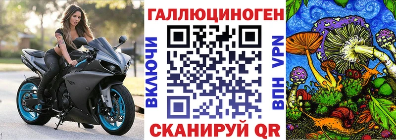 Галлюциногенные грибы мухоморы  Купить где  Купино 