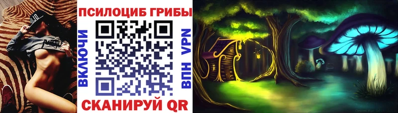 Галлюциногенные грибы мицелий Купино
